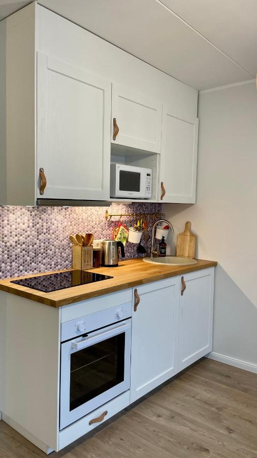 Studio Apartment Parnu Luaran gambar
